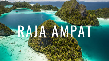 La guía de buceo en Raja Ampat más completa