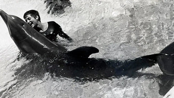 10 características que los humanos compartimos con los delfines