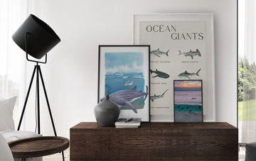 5 pósters de tiburones perfectos como regalo para cualquier amante del océano