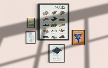 El océano en casa: posters y láminas decorativas para amantes del mar
