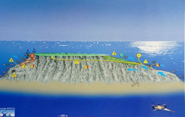 Buceo en Elphinstone, entre tiburones y jardines de coral