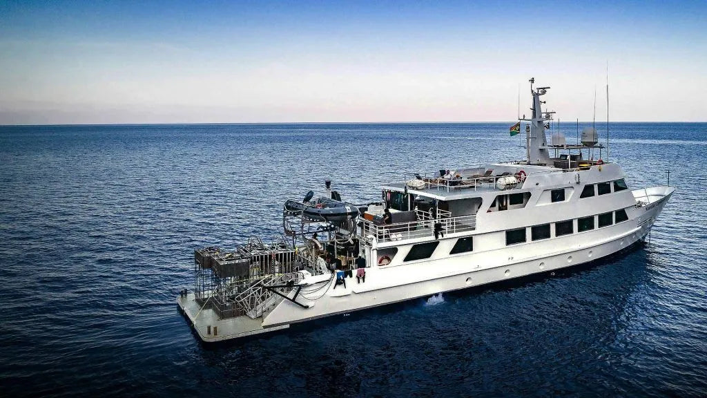 Saltwater Fishing Gear And Lures - Explorer Dive Boat