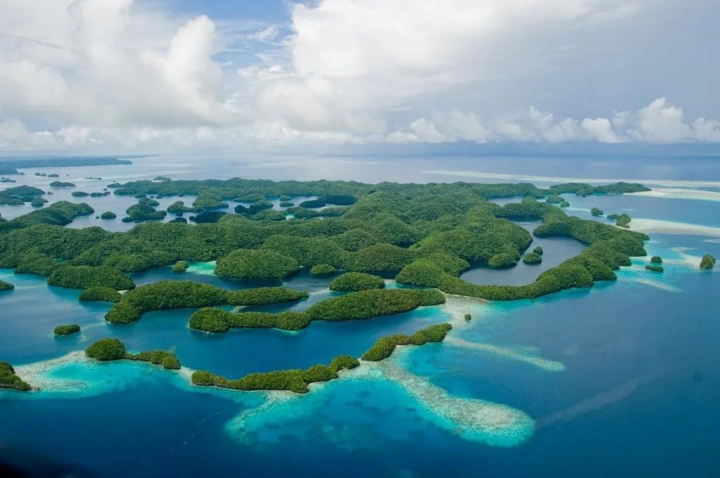 Palau prohíbe la pesca comercial para promover el turismo de buceo