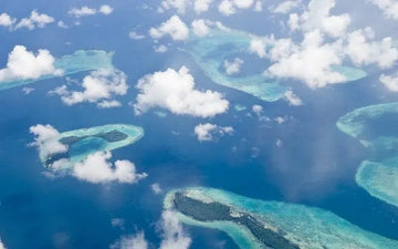 Qué es el Triángulo de Coral y cómo su buena o mala salud te afecta