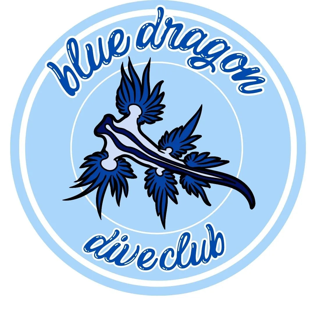 glaucus atlanticus nudibranch T-shirt