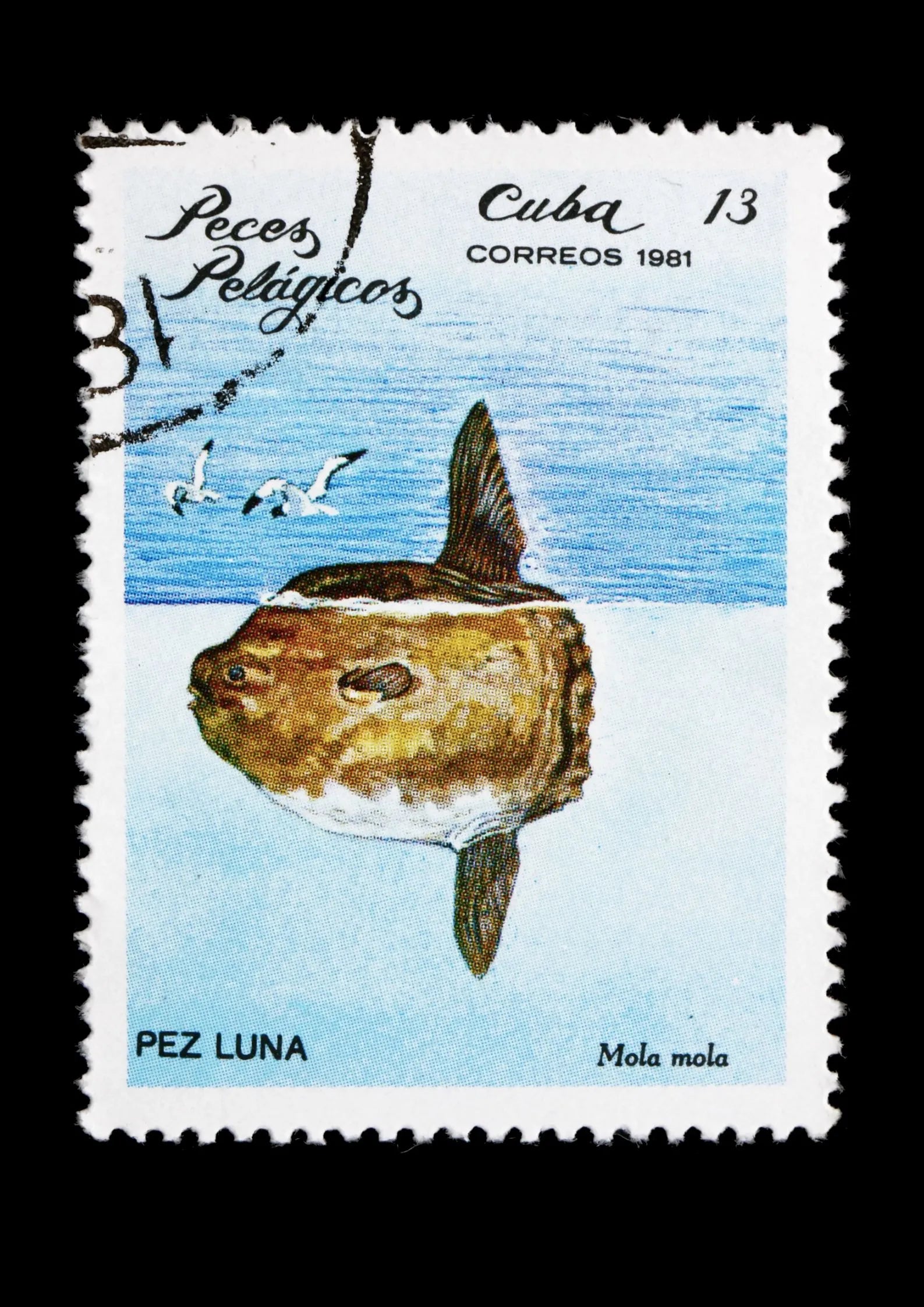 camiseta pez luna sello cuba