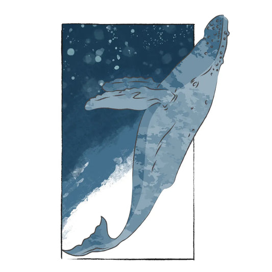 camiseta mujer ballena jorobada