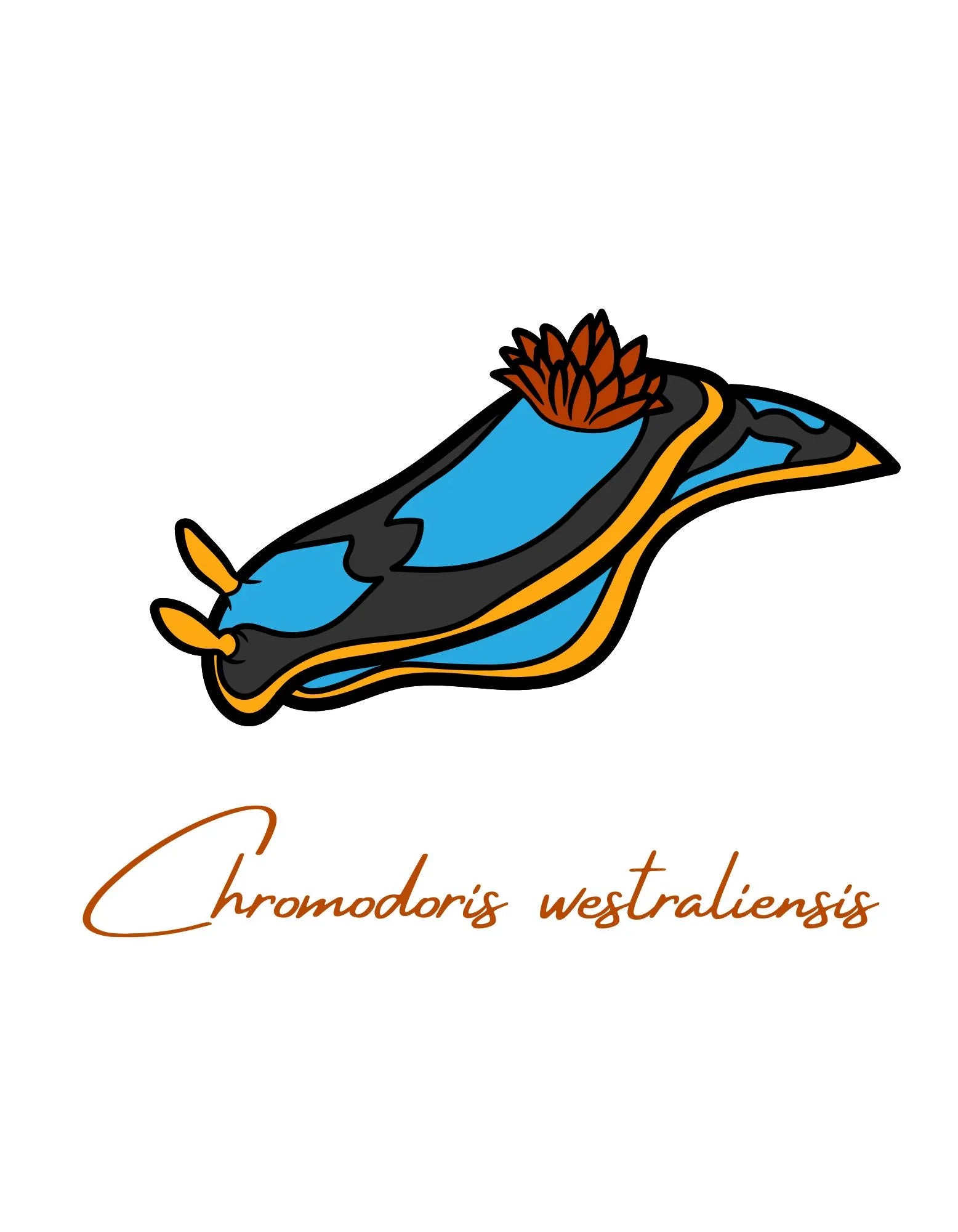camiseta nudibranquio