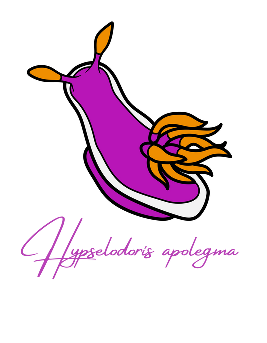 sudadera nudibranquio algodón orgánico