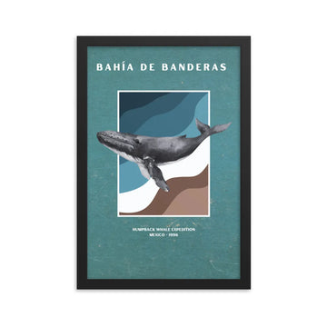 poster ballena jorobada bahía de banderas