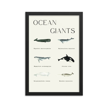 poster ballenas ocean giants