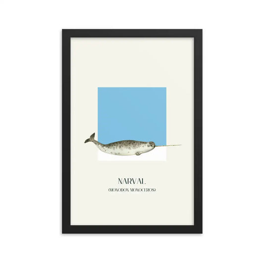 poster narval