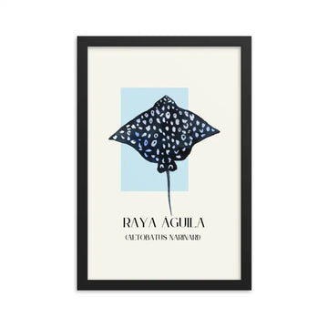 poster raya águila