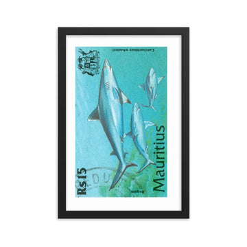 poster sello tiburón Carcharhinus Wheeleri Mauricio