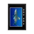 poster fotografía tiburón