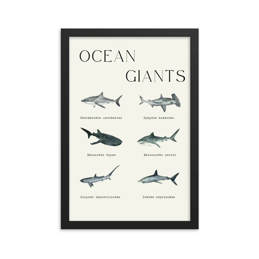 poster tiburones ocean giants