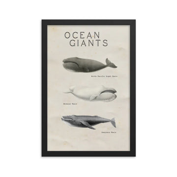 poster ballena vintage