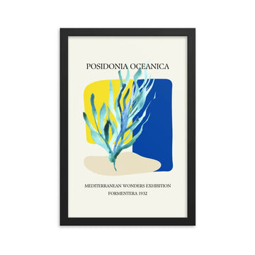 poster posidonia oceanica