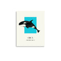 poster orca