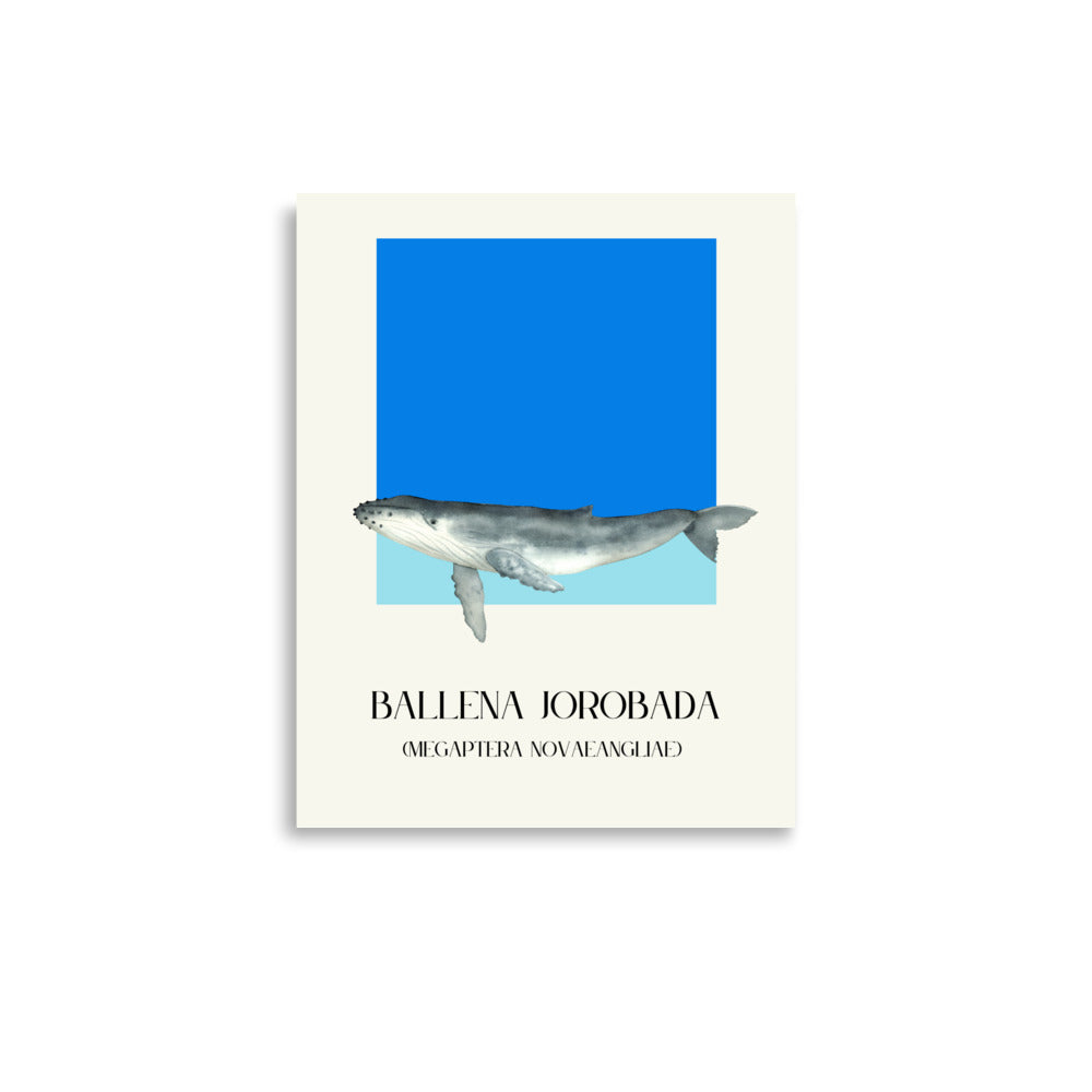 poster ballena jorobada