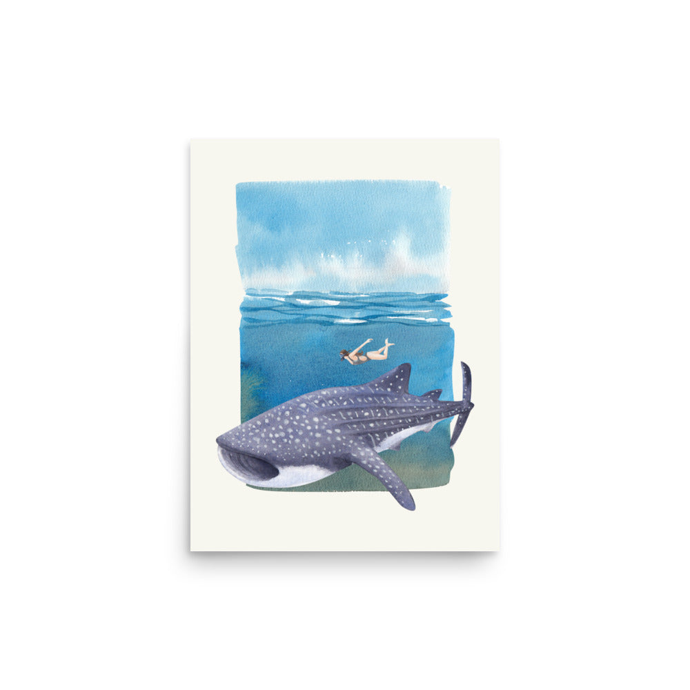 Poster ilustración tiburón ballena buceo