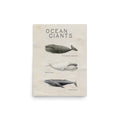 poster ballena vintage