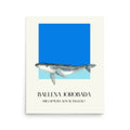 poster ballena jorobada