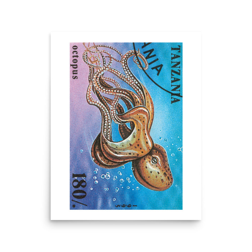 poster sello pulpo tanzania