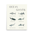 poster tiburones ocean giants