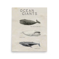 poster ballena vintage