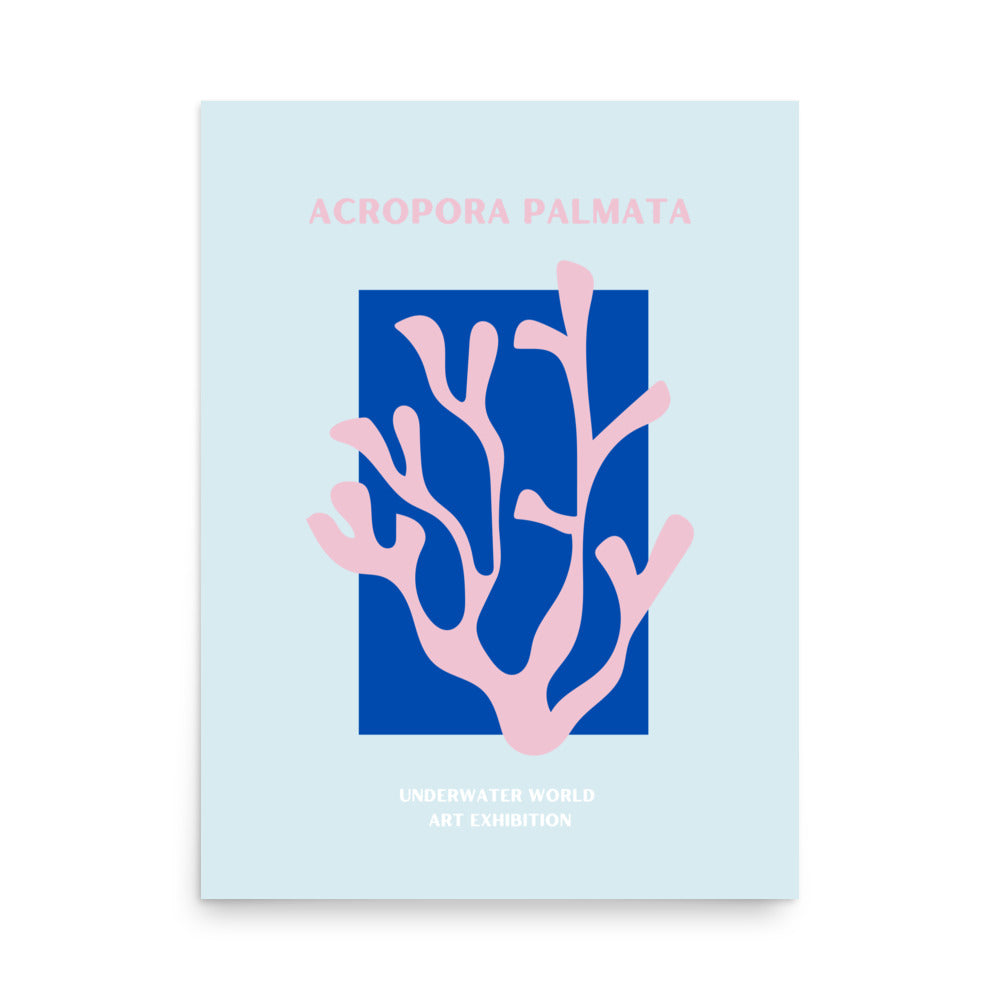 poster coral acropora palmata