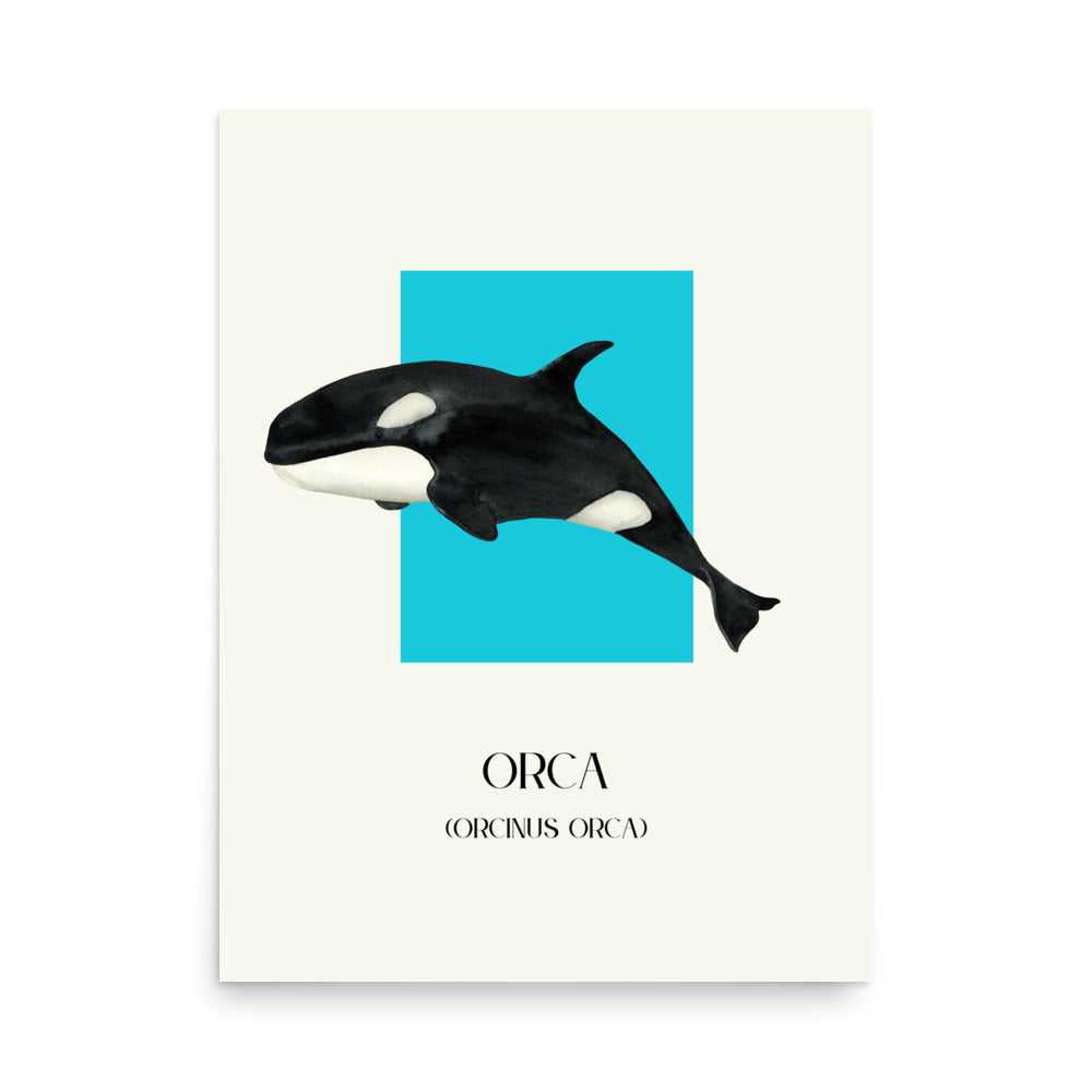 lámina decorativa orca