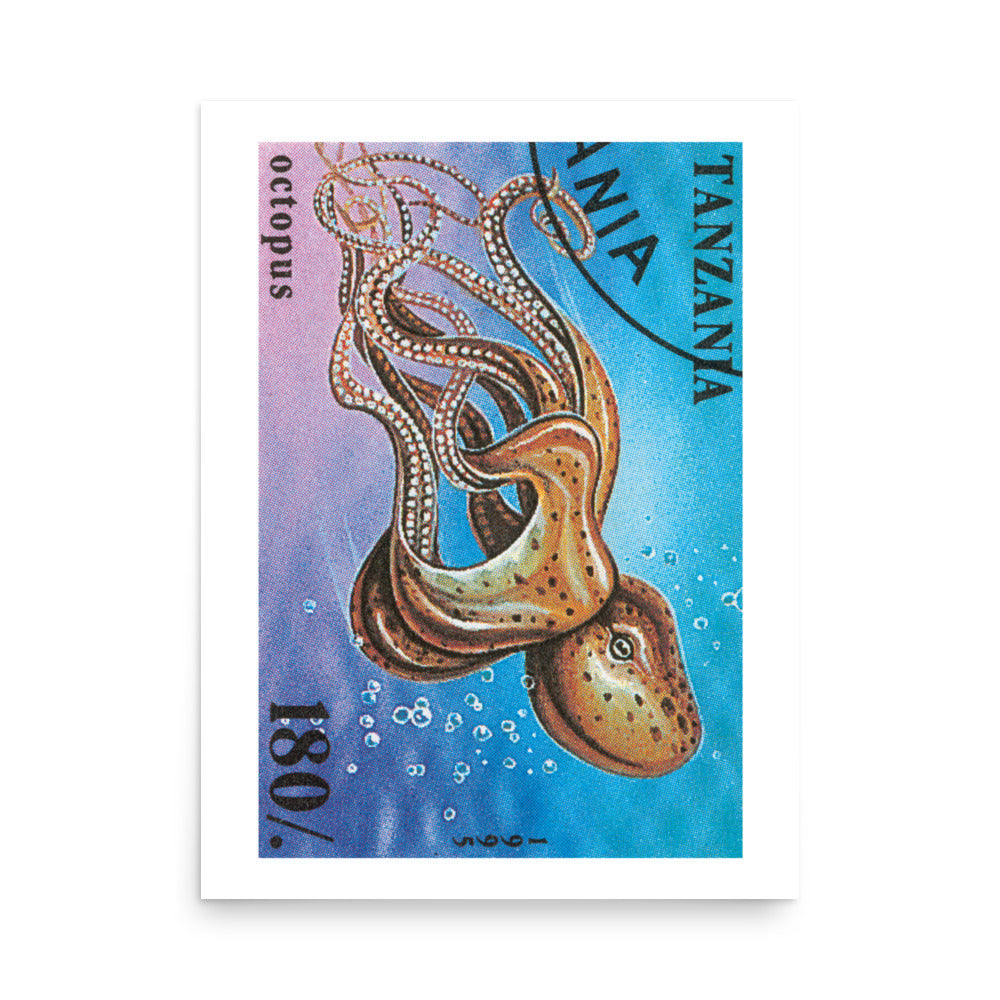 lámina sello pulpo tanzania
