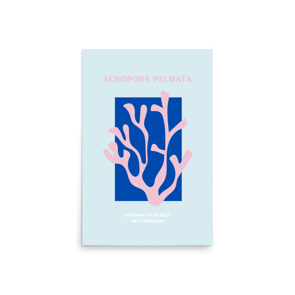 poster coral acropora palmata