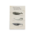 poster ballena vintage
