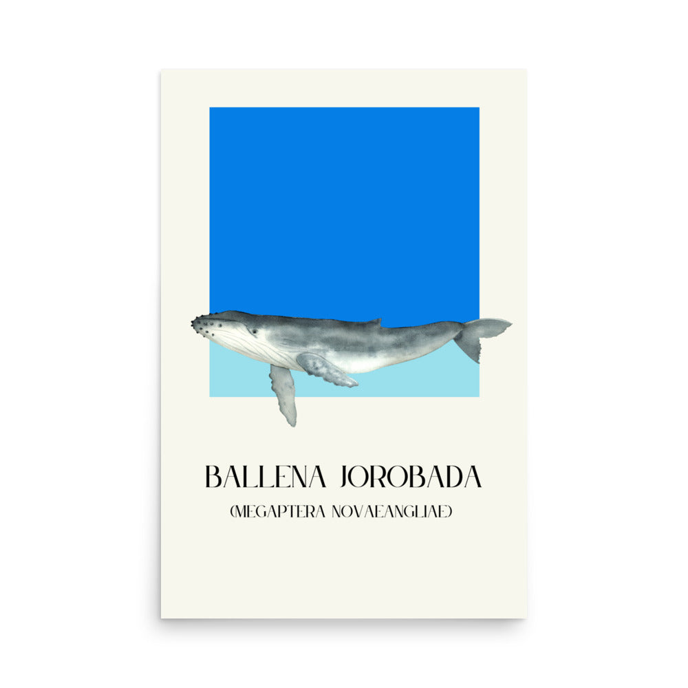 poster ballena jorobada