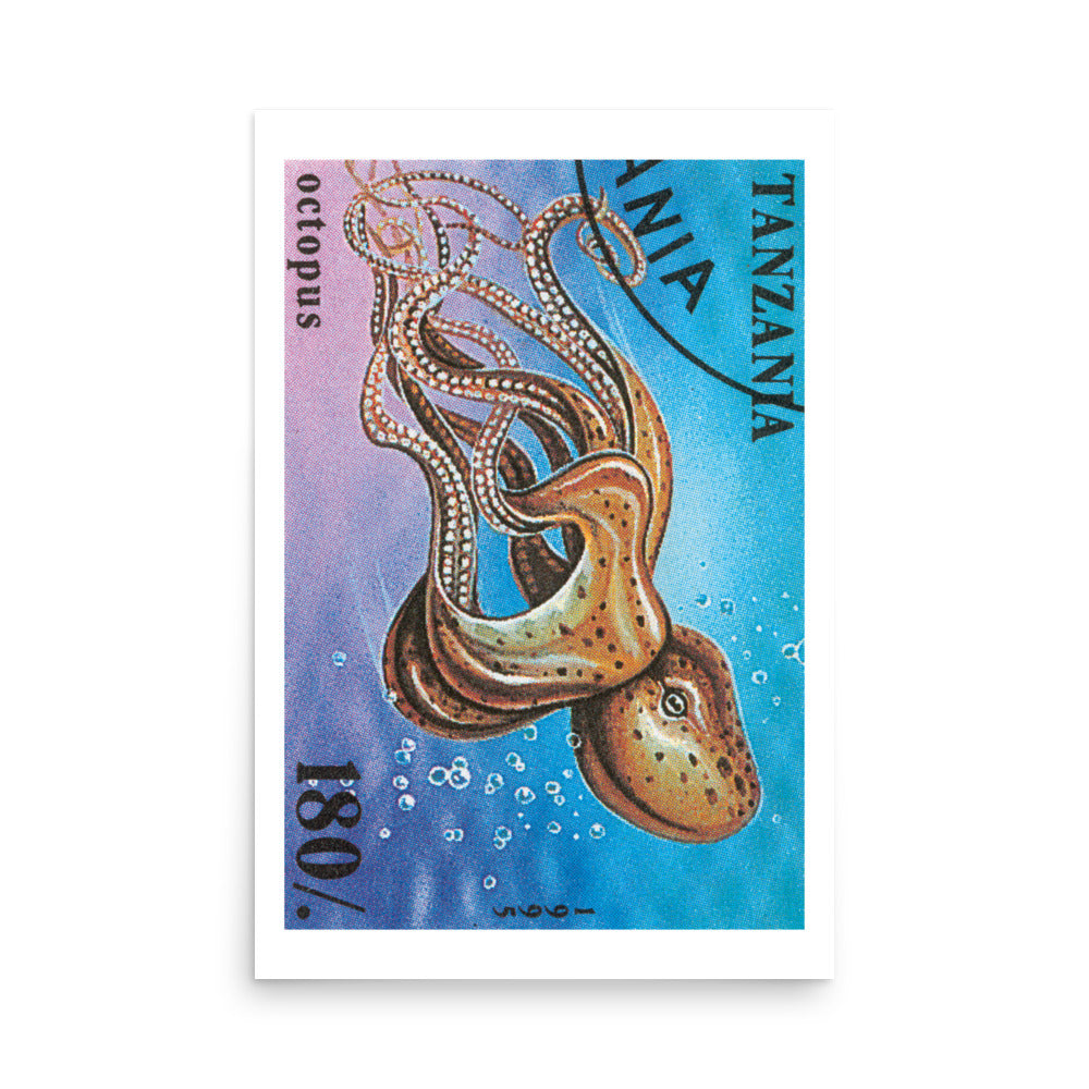 poster sello pulpo tanzania