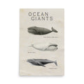 poster ballena vintage