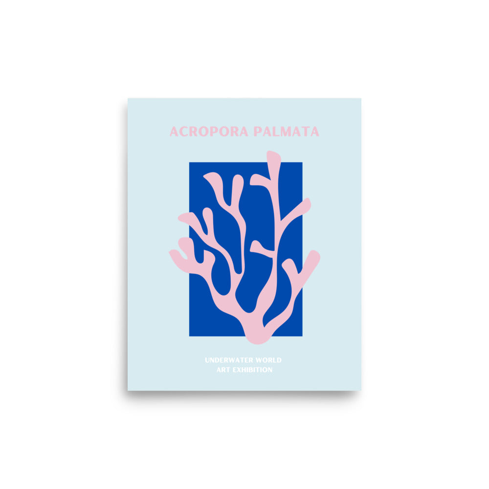 poster coral acropora palmata