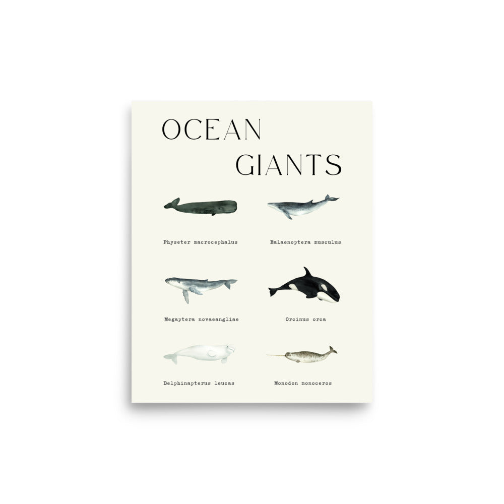 poster ballenas ocean giants