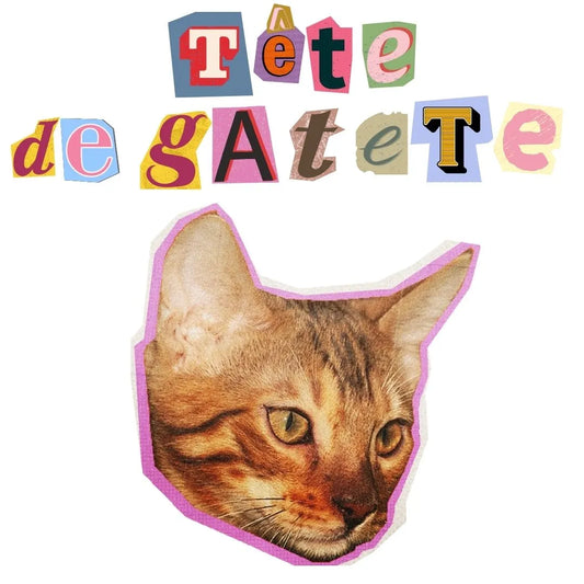 sudadera gatos ecológica tete de getete