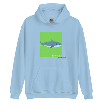 sudadera tiburón blanco carcharodon carcharias