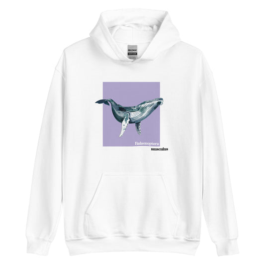 Sudadera ballena azul