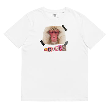 macacos de japón