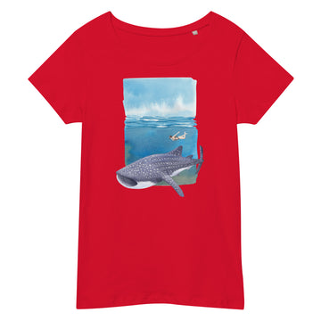 Buceo con Tiburón Ballena