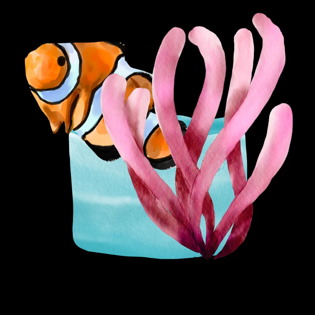 camiseta pez payaso