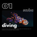 camiseta buceo art of scuba diving