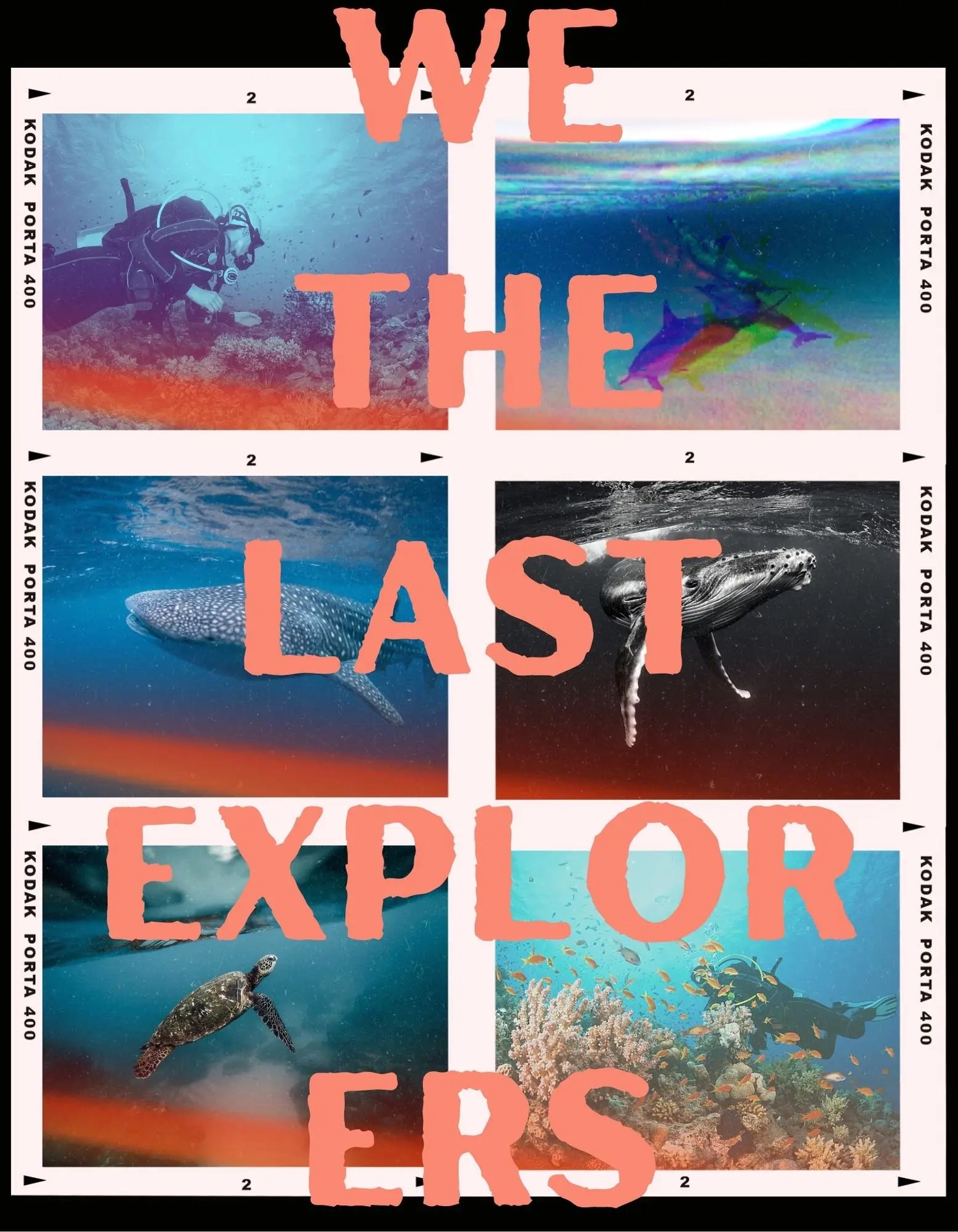 we the last explorers shirt for divers
