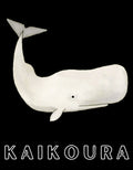 camiseta cachalote kaikoura