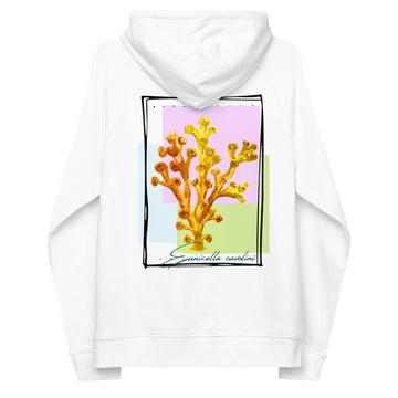 Sudadera con capucha eco unisex coral Eunicella cavolini
